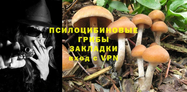 марки nbome Вяземский