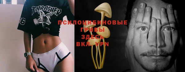 Альфа ПВП Вязники