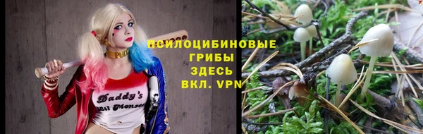 марки nbome Вяземский