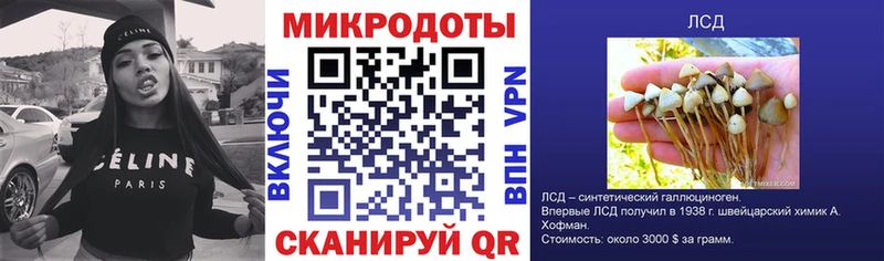 Галлюциногенные грибы Cubensis  Оренбург 